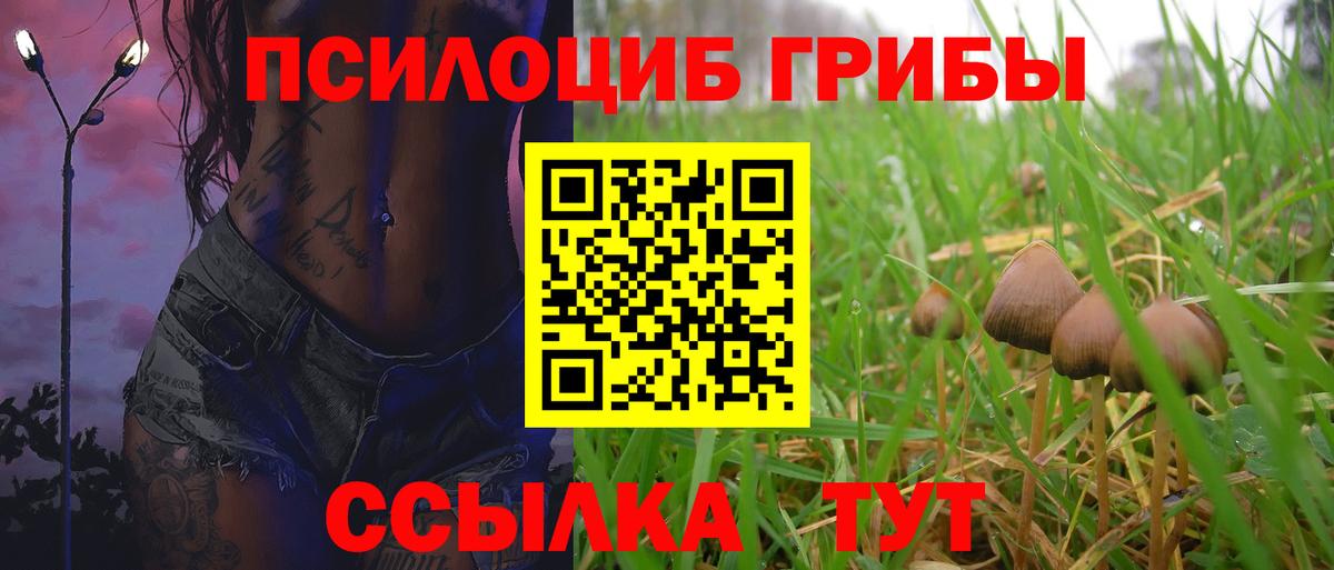 Ковров  Псилоцибиновые грибы Magic Shrooms  Вход с VPN  Галлюциногенные грибы MAGIC MUSHROOMS 